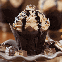 Solid Color Tulip Cup