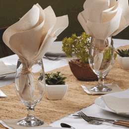 Solid Color FashnPoint® Flat Pack™ Dinner Napkins