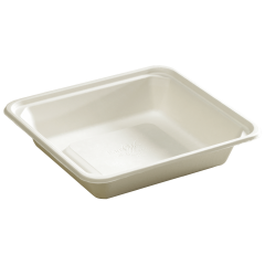 Earth Wise Tree Free® Container