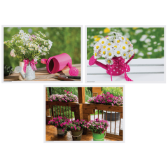 Multipack® Variety Pack Printed Placemats