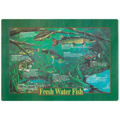 Fish Printed Placemats