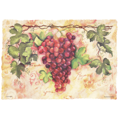 Fruit Printed Placemats