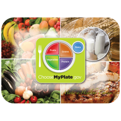 Nutrition & Health Printed Traymats