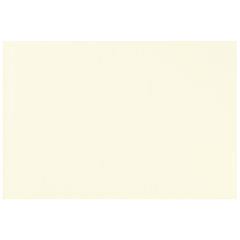 Solid Color Nonskid Traymats