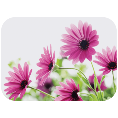 Nature Inspired Printed Traymats