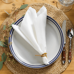 Bamboo Bello Lino® Flat Pack™ Dinner Napkins